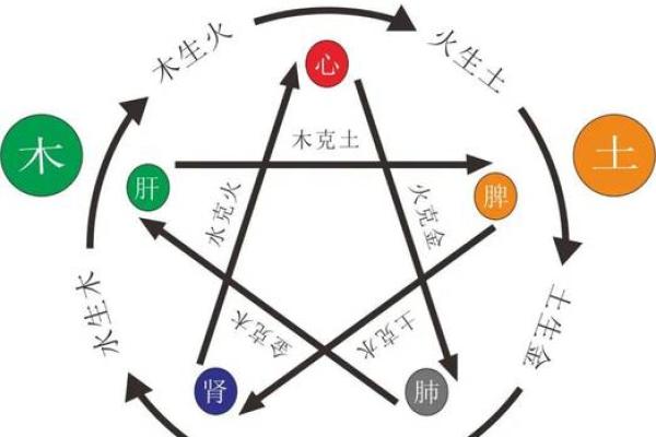 名字带木的五行命理分析：解读木命的特点与人生价值