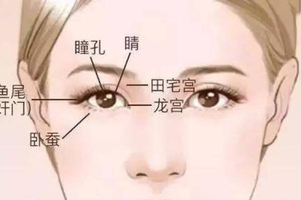 女人鼻子特征与命运解析——你的鼻子暗示了什么？