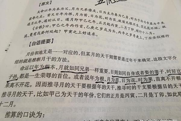 两庚两甲的命：解析八字命理中的神秘力量与人生智慧