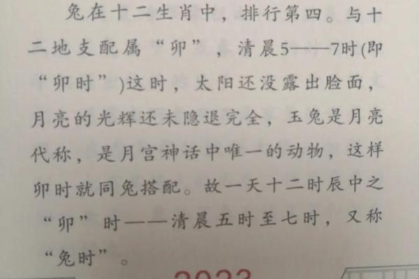 卯时五点三十分的命运解析：解读生肖与命理的奥秘