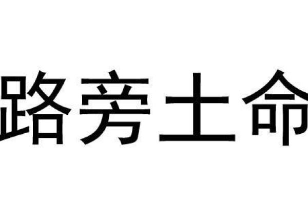 路旁土命与何种命格最为相配，探寻最佳组合之道！