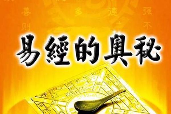 女命4.4钱什么命：解析命理背后的财富与幸福