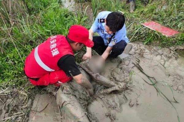 命悬一线：揭开生死一瞬间的底牌秘密