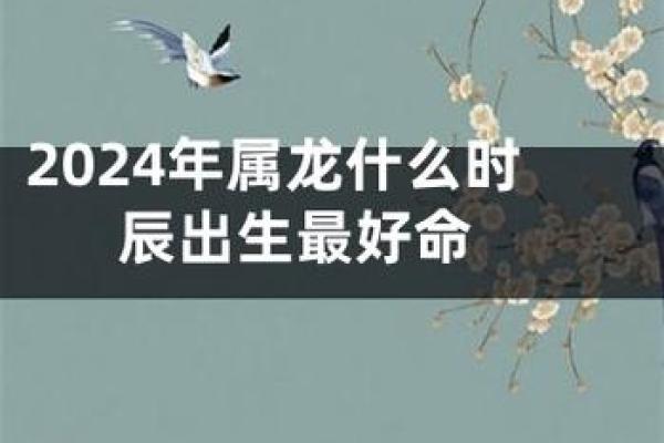 龙命理：探寻适合龙命之人的命理密码与人生方向