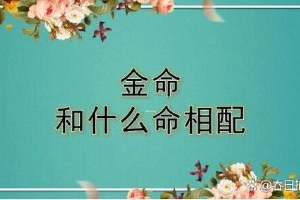 男水命与哪种命相配结婚最佳，探寻完美伴侣之道