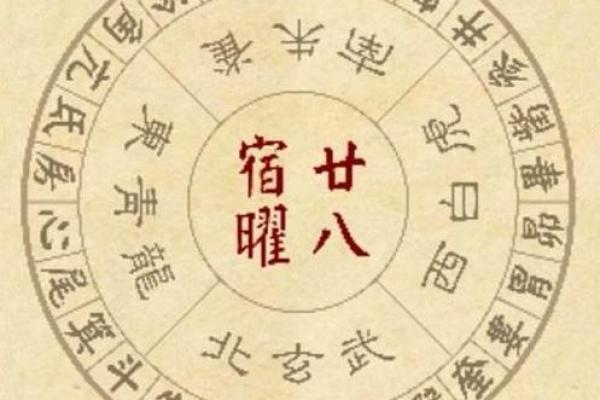 探秘命理：带华盖星的命格与人生解析