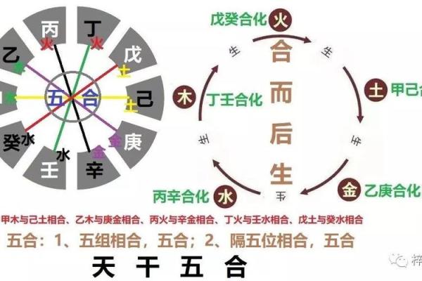 六神五行分析：探索六神命理背后的秘密与奥秘