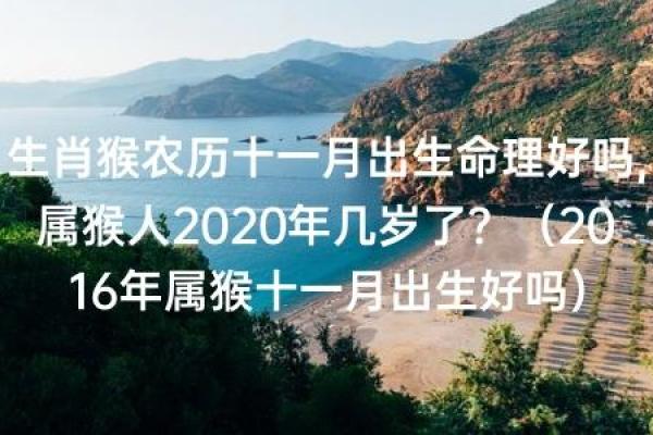 探寻零八年农历十二月出生的人命运：命理与人生之旅