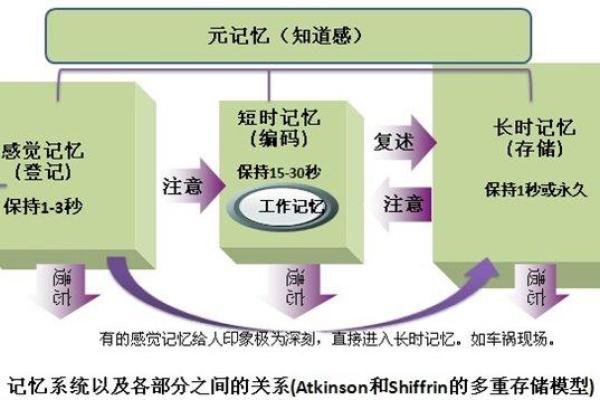 命理学中的“伤妻害子”解析与应对策略