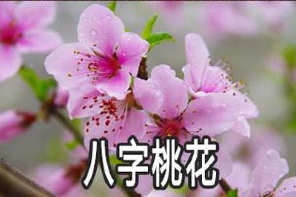 命理解析：女命中“六朵桃花”的深刻意义与影响