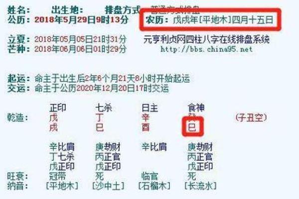 如何选择适合木命人的合作伙伴，从而提升工作效率