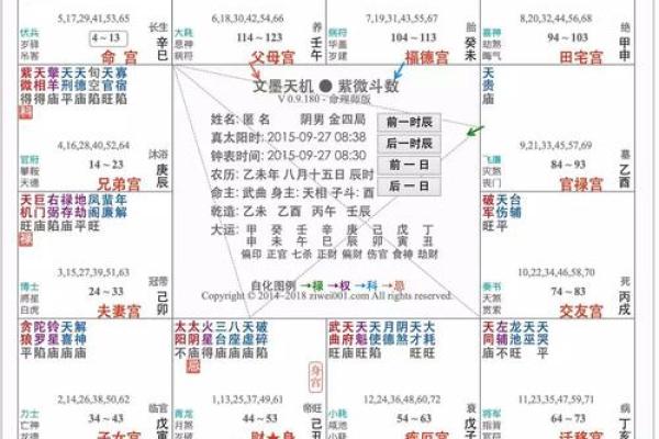 06年出生的人属什么命？深度解析命理与人生轨迹！