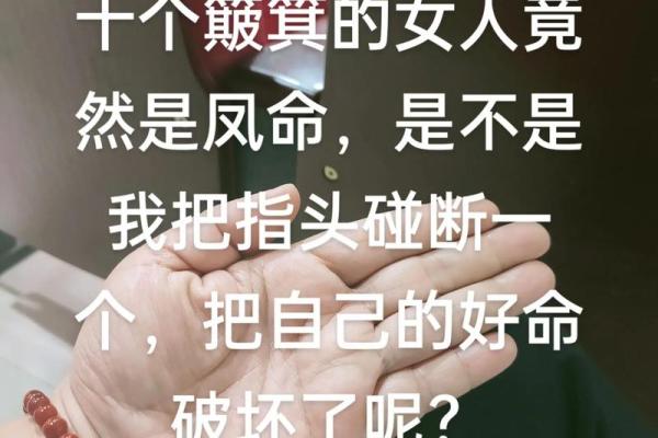 没有一个簸箕是什么命？探寻生命中的隐喻与哲思