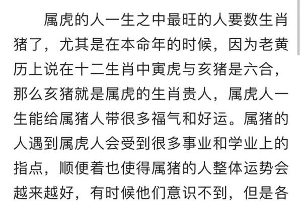 1995年属猪的命运解析：细数金猪的福气与人生智慧