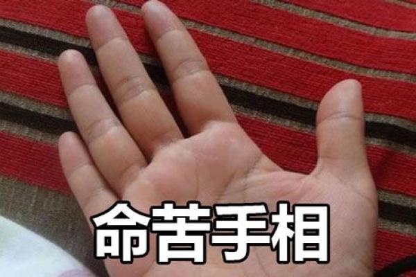 女人四两命的深刻内涵与生活启示