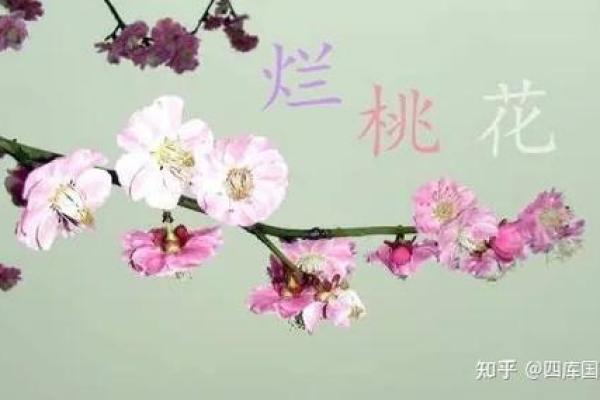 命理解析：元辰桃花的深意与影响力探究