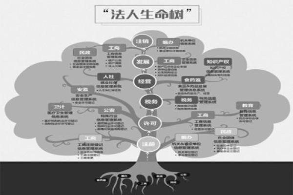 命理中的墓库：揭示生命的深层秘密与智慧