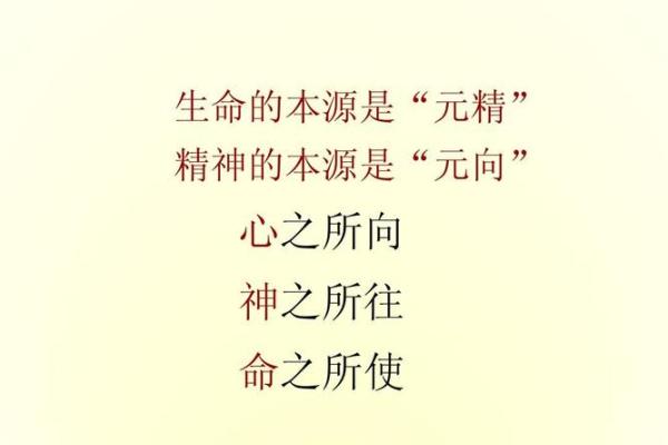 命字的部首与结构探秘：生命的哲学与意义