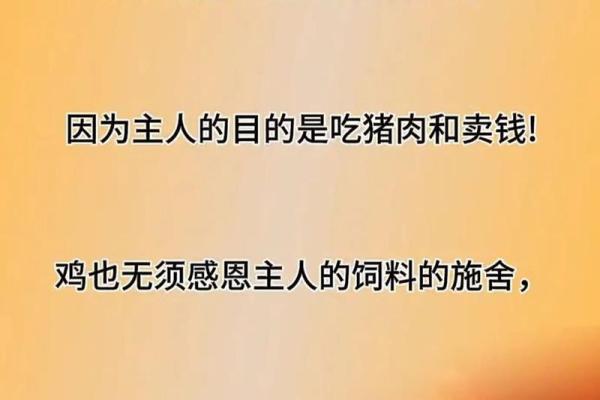 两木命配什么命最好？生命的和谐与相生之道探讨