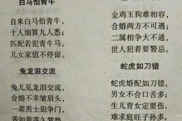 路旁土命人与谁最配：探寻命理的深邃与和谐