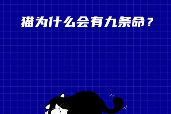 猫有九条命：探索与传说中的神秘猫种