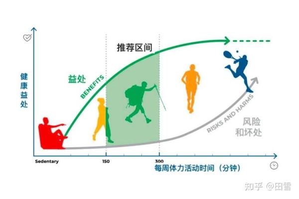 命短的十个原因：生活的隐患与不可忽视的健康问题