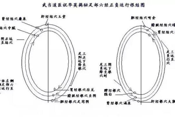 探索历代皇帝八字命格的奥秘与影响