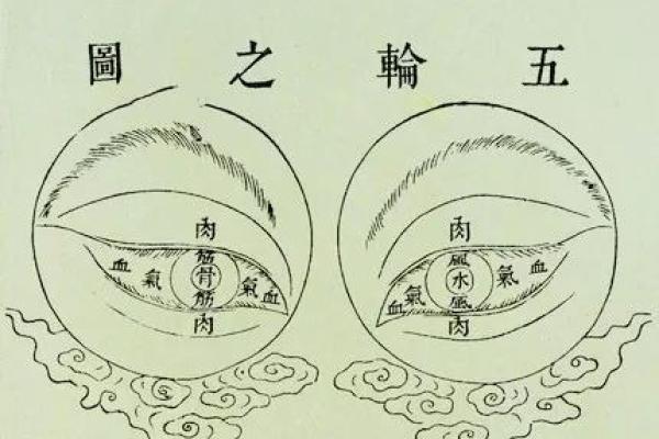 马云的生肖命星解析：从东方智慧看成功的秘密