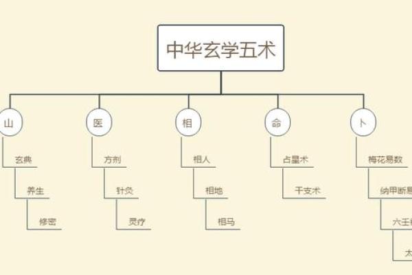 命卦五行奥秘：解读命理与自然元素的深刻联系