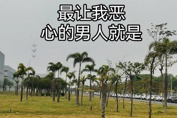 男人为何让自己送了命的深层含义探究