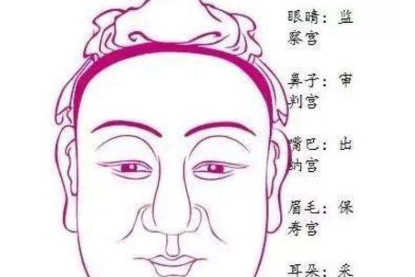 男孩眉毛白的神秘象征与命理解析：探寻内心世界与未来方向