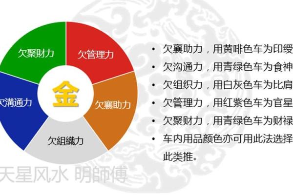 探索老鼠的五行属性与命运之谜