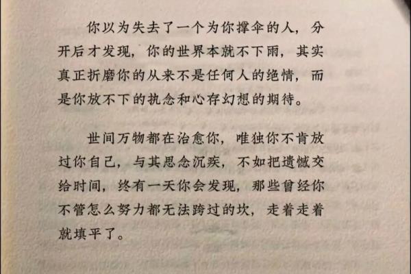 难民的命：在逆境中重生的希望与勇气