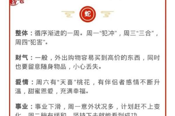 2024年生肖与五行：探寻兔年命理奥秘与生活智慧