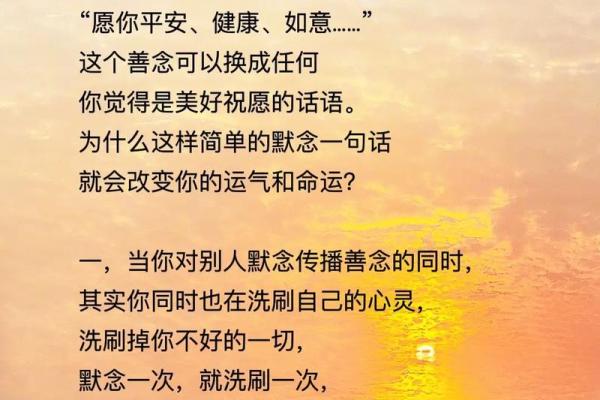 命里不俗：探寻命运与人生的奥秘