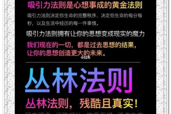 命好的人吸引什么样的人才？解密人生的吸引力法则！