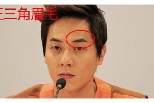 眉骨凸起的男人：命运如何在脸相中显现？