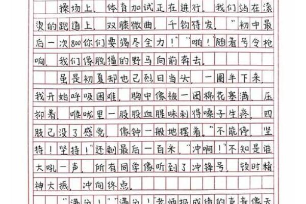 没考大学的命：人生的转折与奋斗之路