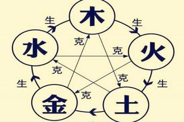 木命与龙命的神秘区别：解密命理中的生辰八字