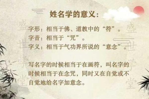 深入解析乙卯女命：独特命格背后的智慧与魅力