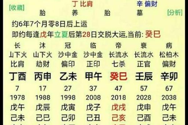 命里有官格：探秘命理中的“官”与人生成功的关系