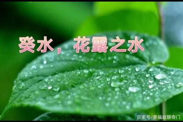 探寻甲寅乙亥命理：揭示命中最优的生活之道