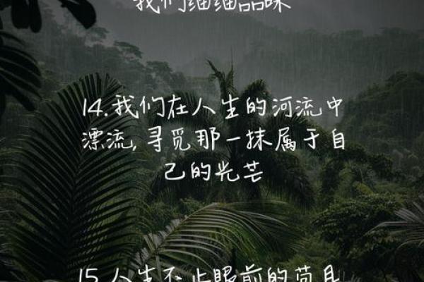 揭秘特殊命格：以何为主，探寻命运的奥秘与人生的指引