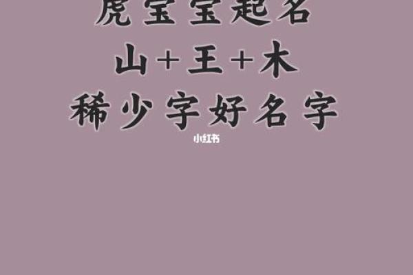 虎年宝宝：适合虎命人的最佳出生选择与命理解析