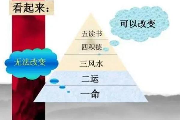 98年属鸡人的命运解析：如何把握人生的机遇与挑战