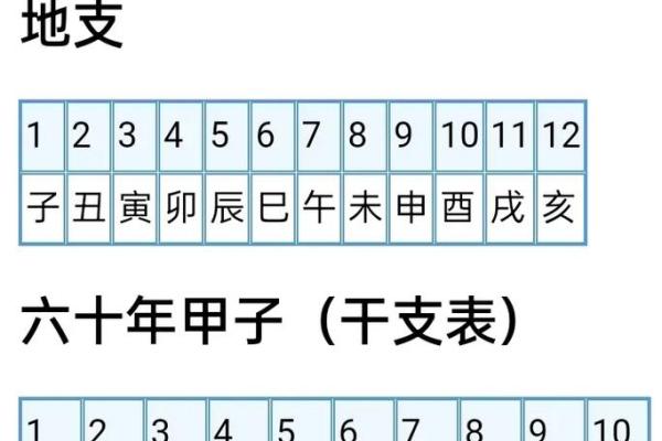 1986年出生的人命卦解析：天干与地支的智慧之道