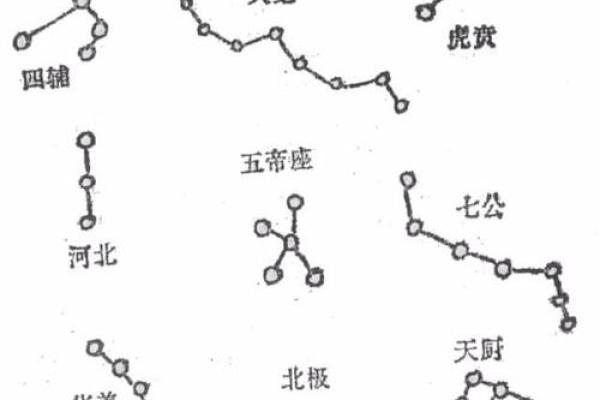 将星遇上华盖：解读复杂命理中的奇妙交融