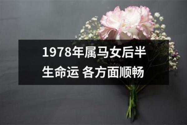 1978年出生的人：属马的传奇与命运解析