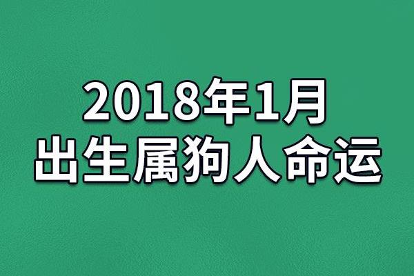 1996年正月27日出生命运揭秘与性格分析