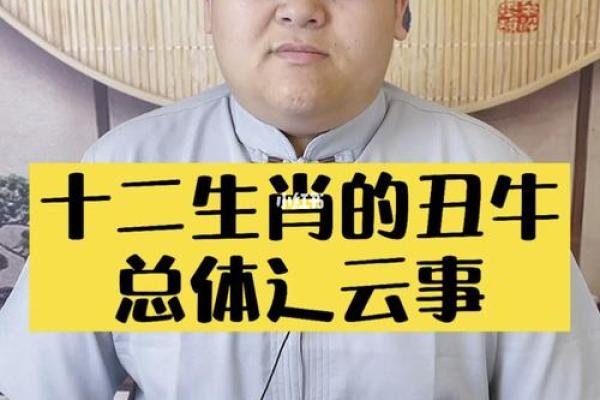 根据命理缺失属相，探寻与之相符的男子特质与人生机遇